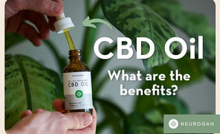 What Are The Benefits of CBD Oil?