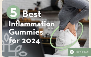 The 5 Best Inflammation Gummies in 2024