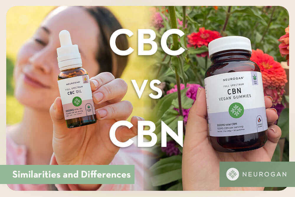 CBC vs CBN Comparison | Differences, Benefits, Graphs & Effects