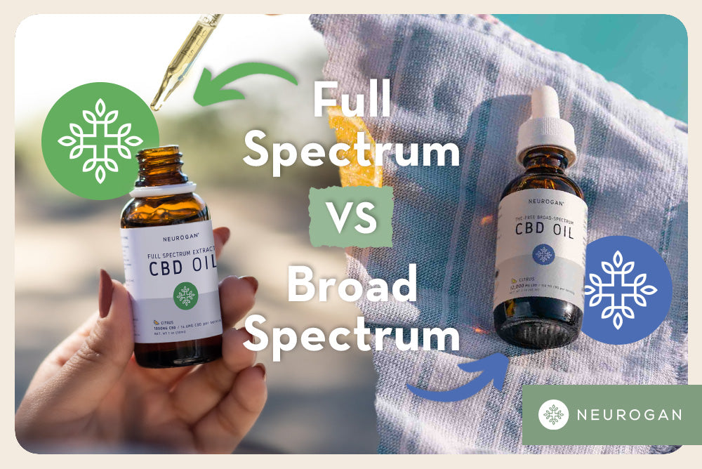 Blog posts Broad Spectrum CBD vs Full Spectrum CBD: Your One-Stop Guide