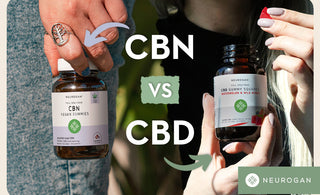 CBN VS CBD: Which Should I Choose?