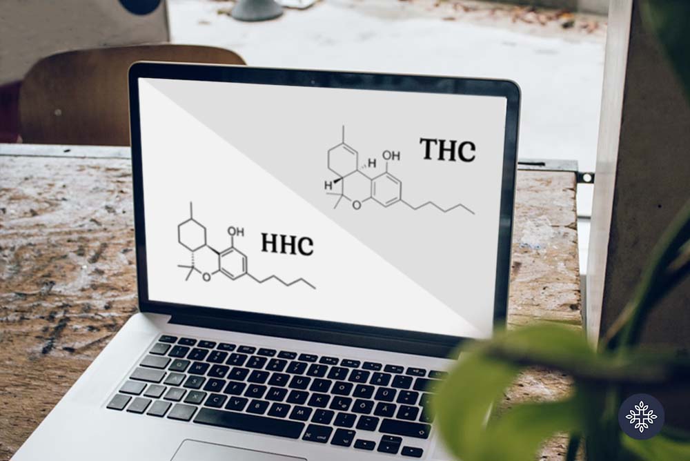 HHC and THC displayed on a laptop