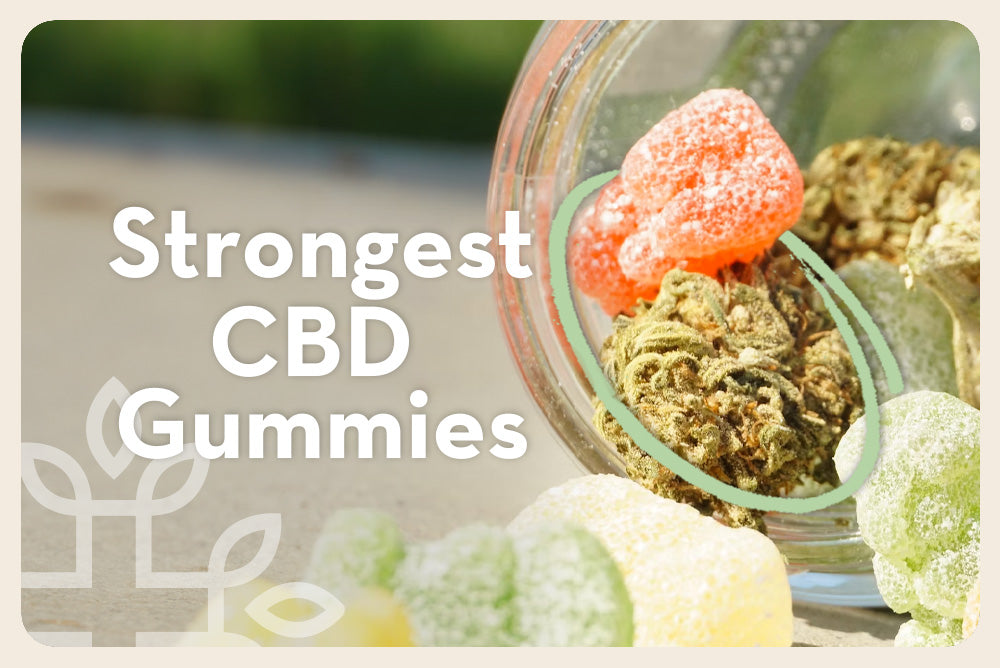 7 Strongest CBD Gummies: Find the Relief You Need