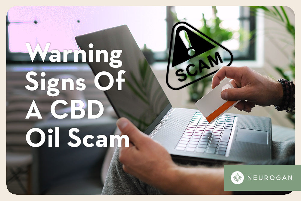 Warning Signs Of A CBD Oil Scam