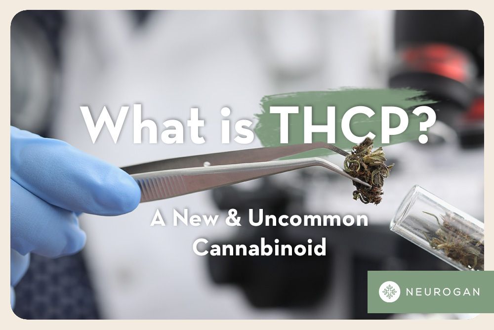 What is THC-P - Benefits of THCP - Great CBD Shop