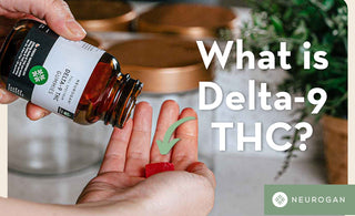 What is Delta 9 THC?