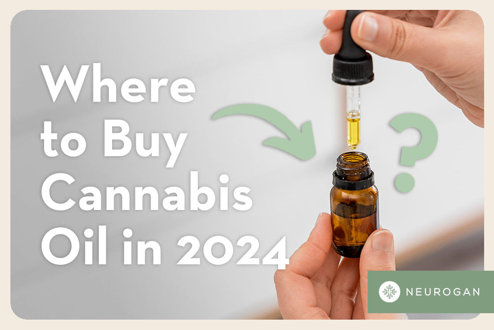 Holding a bottle of cannabis oil. Text: Where to buy cannabis oil in 2024