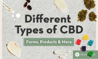 Exploring different types of CBD