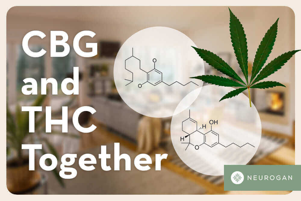 Do CBG and THC Work Together? | Mixed Benefits – Neurogan