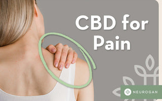CBD For Pain: Exploring The Potential Benefits