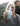 Woman holding a bottle of Neurogan CBD oil 12,000mg outdoors in a serene environment.