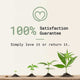 CBD Balm Thumbnail 2