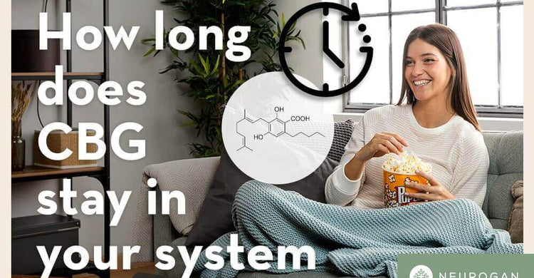 Does CBG show up on a Drug Test? Testing & Staying Safe – Neurogan