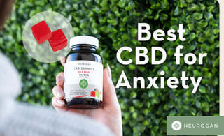 5 Best CBD Gummies for Anxiety & Stress in 2025
