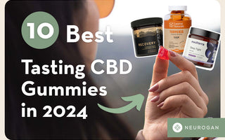 choosing the best tasting CBD gummies in 2024