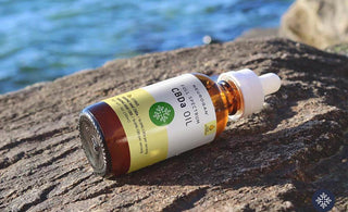 Bottle of CBDa oil laying on a rock near an ocean shore