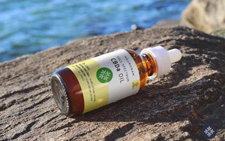 Bottle of CBDa oil laying on a rock near an ocean shore
