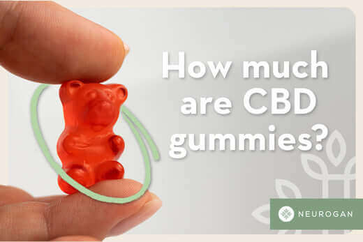 How Much Are CBD-Infused Chews?