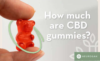 How Much Are CBD-Infused Chews?