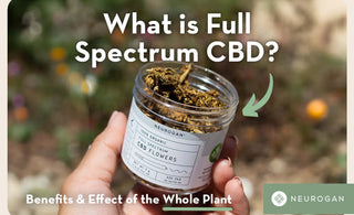 What is Full Spectrum CBD?