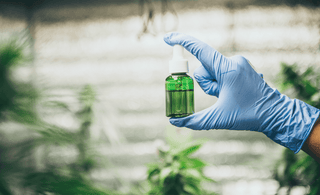 Hand holding CBC oil bottle in lush greenhouse, showcasing vibrant green contents amidst plants