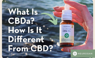 Bottle of CBDa oil laying on a rock near an ocean shore