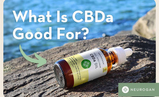 A bottle of CBDa laying on a rock, near ocean shore