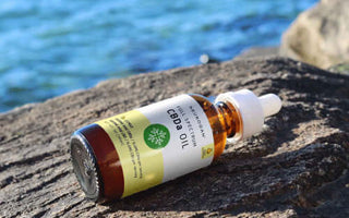 A bottle of CBDa laying on a rock, near ocean shore