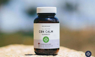 The Complete Guide To CBN Gummies