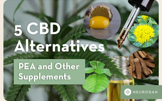 CBD alternatives looking at natural supplements