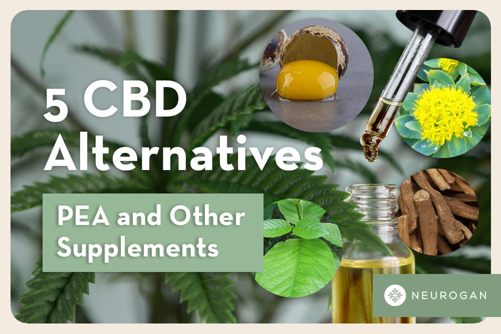 CBD alternatives looking at natural supplements