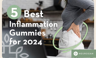 The 5 Best Inflammation Gummies in 2024
