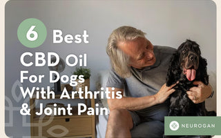A woman holding a bottle of CBD Dog Oil, beside her two big brown dogs