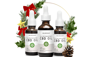 2020 is Officially The Best Year for CBD Gifts