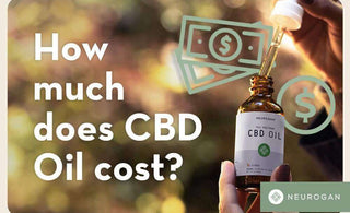 How Much Does CBD Oil Cost?