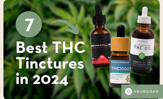 Cannabis flowers and text: best THC tinctures in 2024