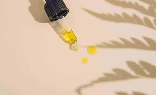 do cbd cigarettes expire Does oil expire? A guide to CBD's shelf life SupremeCBD Does CBD Oil Expire? Shelf