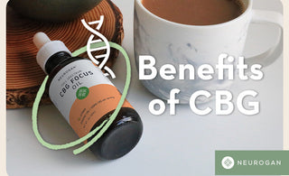 CBG Benefits | Focus & Inflammation Support