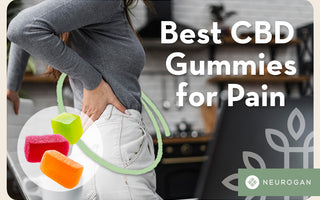 The 5 Best CBD Gummies for Pain Relief