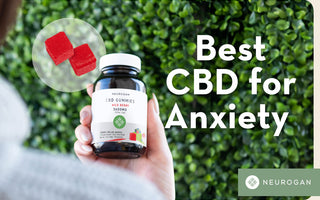5 Best CBD Gummies for Anxiety & Stress in 2024