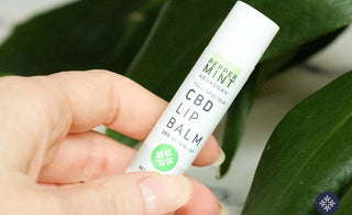 5 CBD Lip Balm Benefits For Healthy Lips