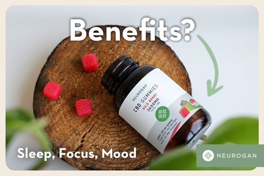 Blog posts The Complete CBD Gummies Guide: Understanding The Benefits & Effects of CBD Gummies