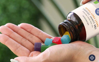 Different colors of CBD Gummies on the palm of a hand