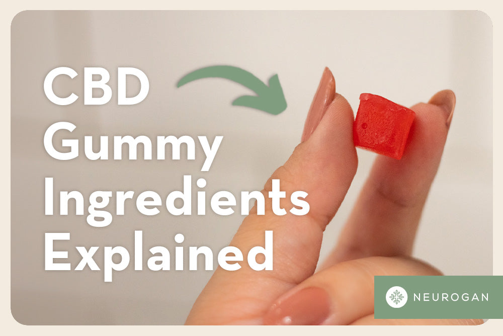 Holding a CBD gummy square: text: CBD gummy ingredients explained