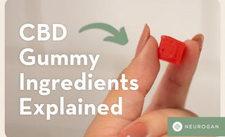 Holding a CBD gummy square: text: CBD gummy ingredients explained
