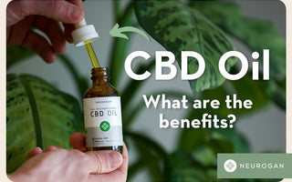 What Are The Benefits of CBD Oil?