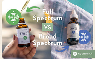 Blog posts Broad Spectrum CBD vs Full Spectrum CBD: Your One-Stop Guide