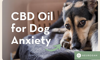 Puppy dog eyes Text: CBD Oil for dog anxiety