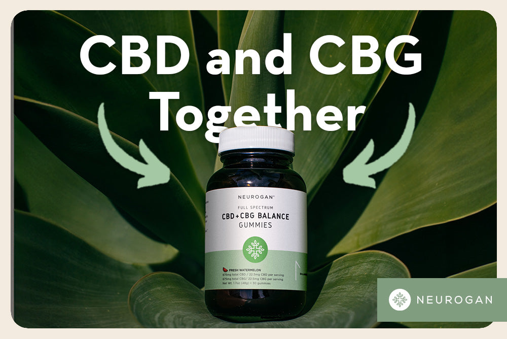 Neurogan CBD and CBG Gummies. Text: CBD and CBG Together