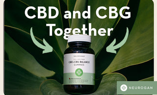 Neurogan CBD and CBG Gummies. Text: CBD and CBG Together